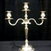 Wedding and Event Catering Rental Candelabra